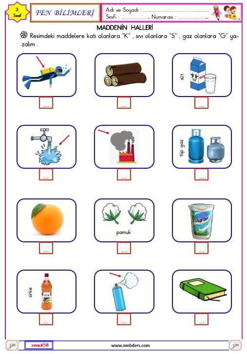 3. Sınıf Fen Bilimleri Maddenin Halleri Etkinliği 1