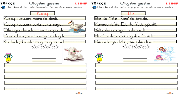 1. Sınıf İlk Okuma Yazma Z Sesi Okuma Yazma Etkinliği (6 Sayfa)