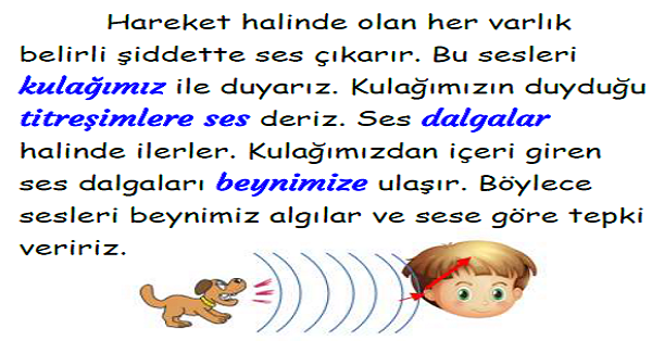 3.Sınıf Fen Bilimleri Çevremizdeki Sesler Konu Özeti