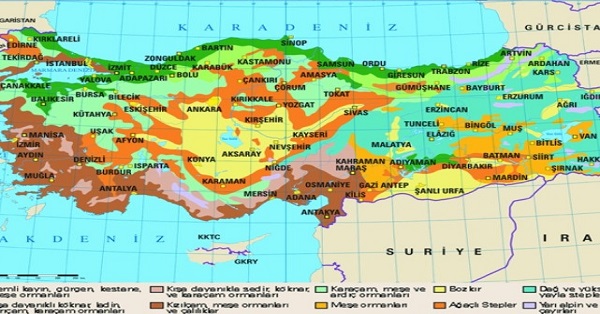 Türkiye Bitki Örtüsü Haritası 1