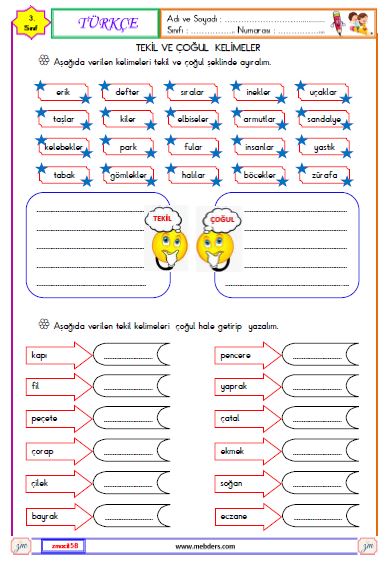 3. Sınıf Türkçe Tekil ve Çoğul Kelimeler  Etkinliği