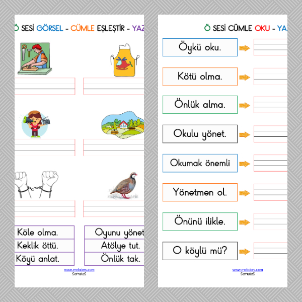 1. Sınıf İlkokuma Yazma - Ö Sesi Cümle Etkinliği