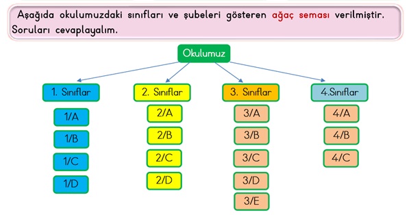 2.Sınıf Matematik Veri Toplama-6