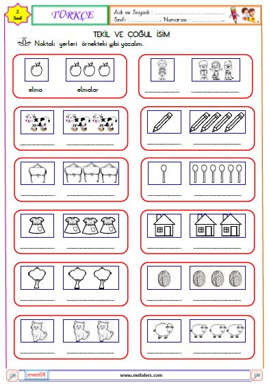 2. Sınıf Türkçe Çoğul İsim  Etikinliği